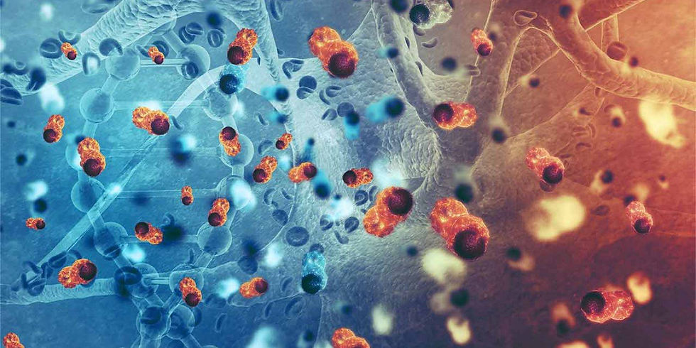 msc-oncology.jpg