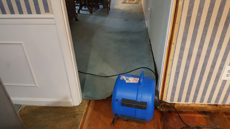 Sewage & Bio-hazard Clean Up