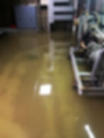 Water Clean Up & Professional Drying