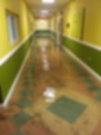 Water Clean Up & Professional Drying