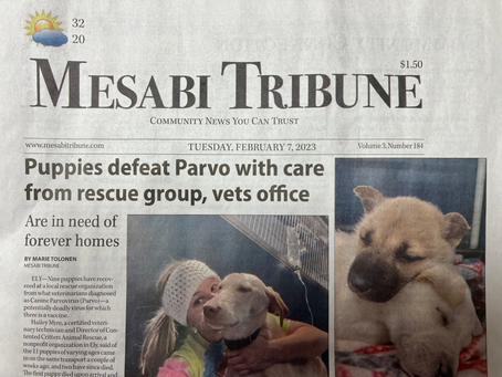 We were front page news!