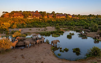 Overlooking the Zambezi National Park, the 72-room Victoria Falls Safari Lodge is just 4km from the majestic Victoria Falls.
Its sunset-facing position offers guests not only stunning and evocative views but also a unique wildlife experience, as the location is renowned for its views over a wildlife-rich watering hole, visited by herds of elephant, buffalo and kudu. Along the river itself, hippo, elephants, crocodiles and an abundance of birdlife can be experienced from the comfort of a river cruise, G&T in hand!
The lodge is built of thatch and timber, rising several levels, giving the impression of a vast open-plan tree house. The central area features the MaKuwa-Kuwa Restaurant, the famous Buffalo Bar, a two-tiered swimming pool and a fitness centre.
Guests can also enjoy a regular complimentary shuttle bus to the town centre, craft markets and the Victoria Falls Rainforest and, of course, to locations to see the Victoria Falls close up.
Rooms are attractively furnished and have a private balcony overlooking the Zambezi National Park, air conditioning, a fan, tea and coffee-making facilities and a safe. The sunsets from the balcony are very special.