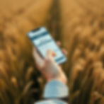 Round image, of a person holding a phone booking on this website whilst standing in a fiel