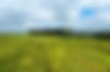 bowerlane-home.jpg