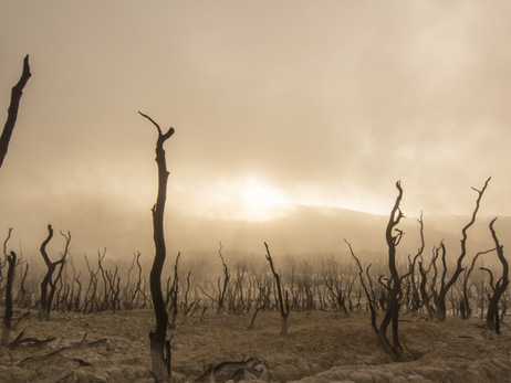 אגדות החורבן נוסח עגנון