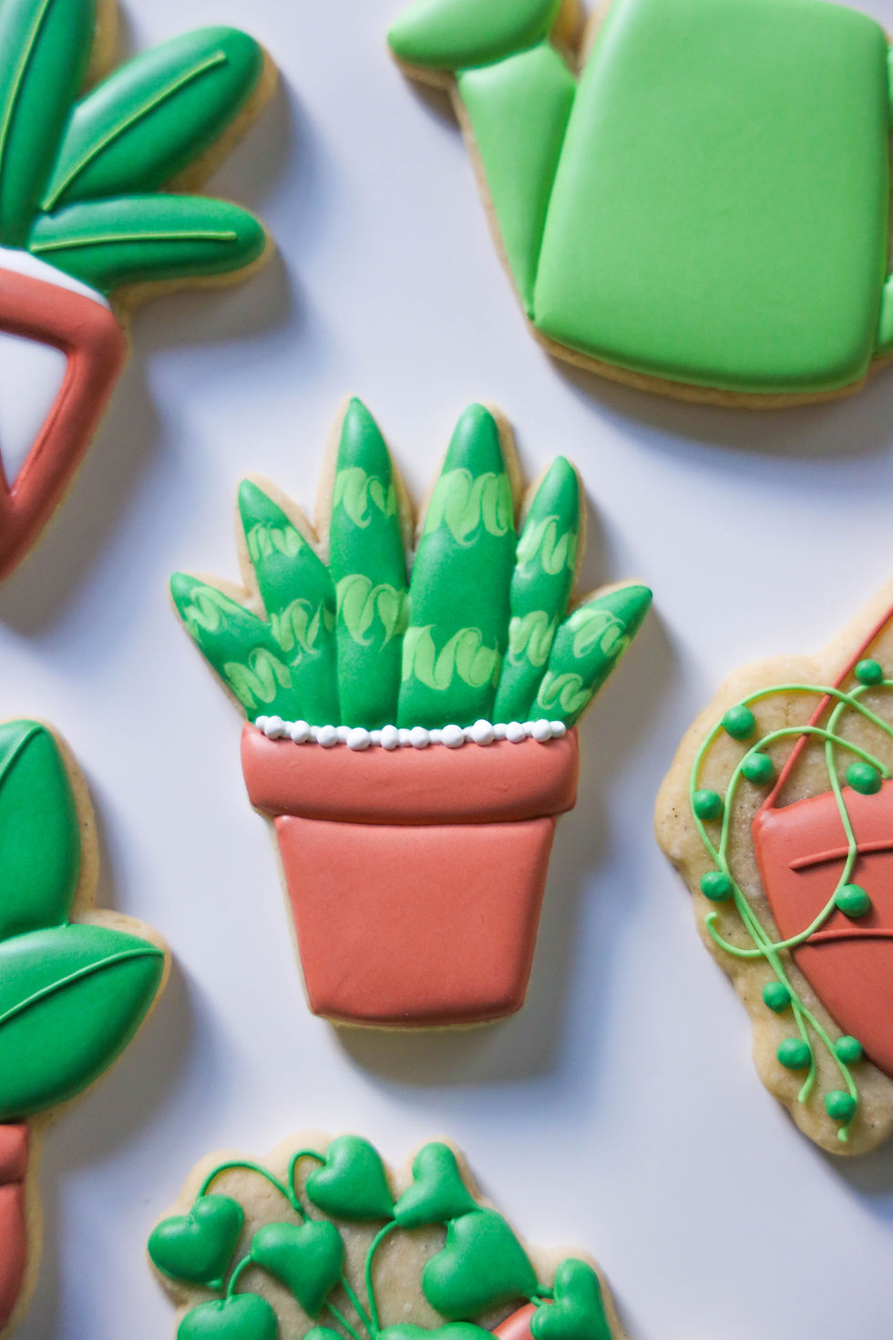 Thumbnail: Sugary Shrubs Cookie #5