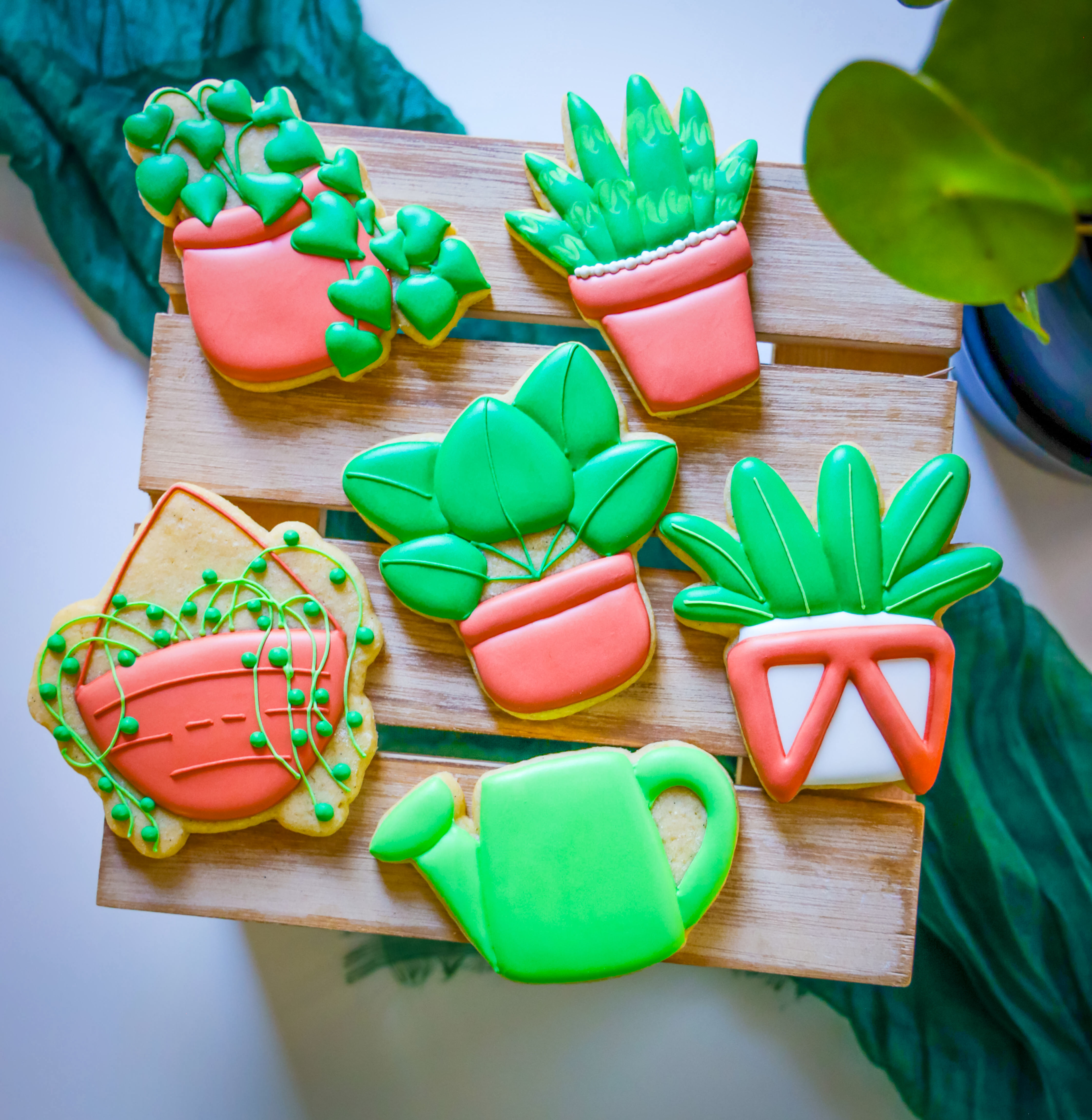 Sugary Shrubs Decorated Set