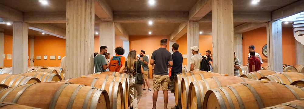 Visiting the cellar of one of the largest winemakers in Nemea.