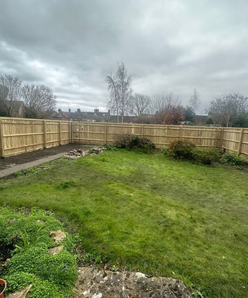 Garden with new fence
