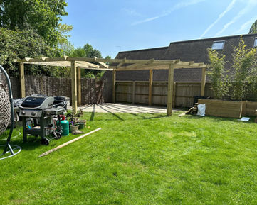 Garden area in summer
