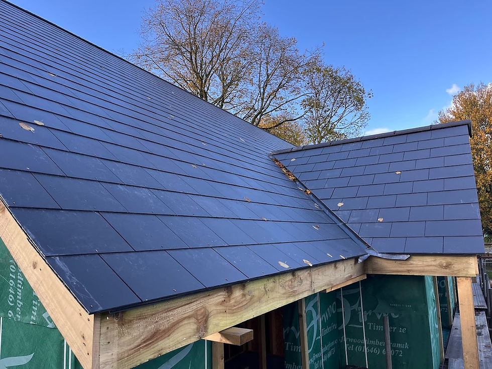 Roof conversion services done for a home in Tredegar, UK.