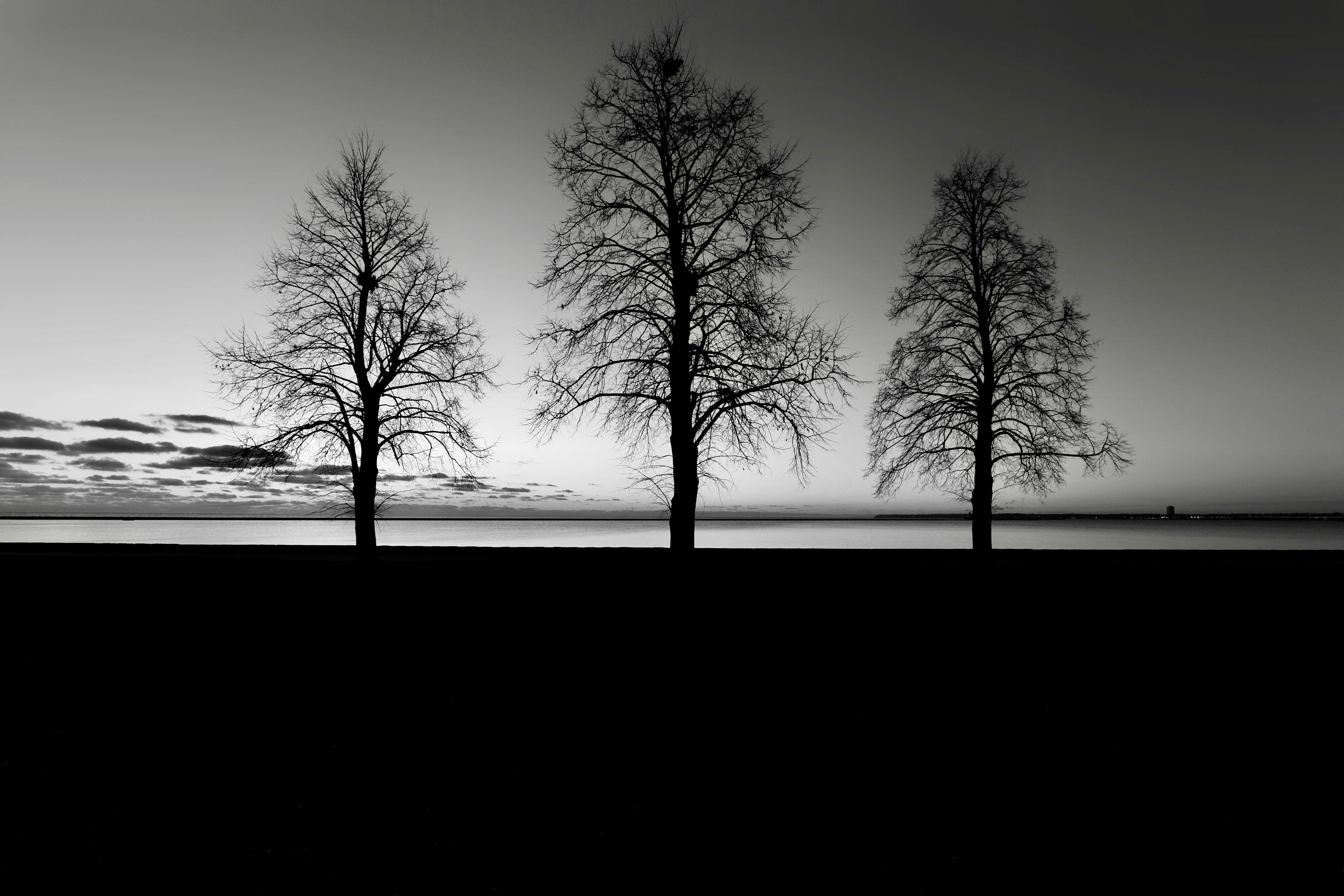 Milwaukee Photograph 30