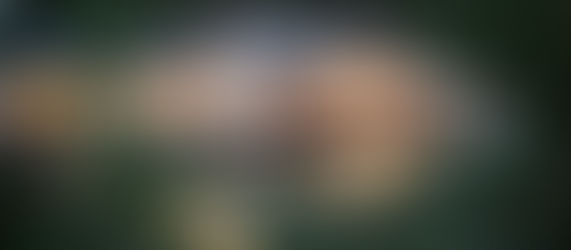 Ankerpunkt â See Location Sinsheim: Feiern am Wasser mit Stil đđ