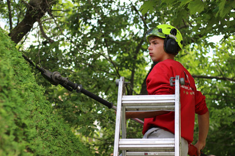 Taille de haies de cèdres à Québec, Lévis, Portneuf, Beauport et Capitale-Nationale – Coupe droite, régulière et respectueuse de la santé de vos haies, assurée par les pros du GROUPE METIKO.

📞 1 (888) 514-1297 📧admin@groupemetiko.com