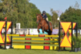 C8CDFD82-5416-4607-AECB-A06881A03497.jpe