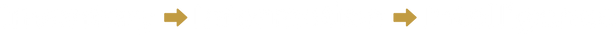 DSL_WordMark_White.png