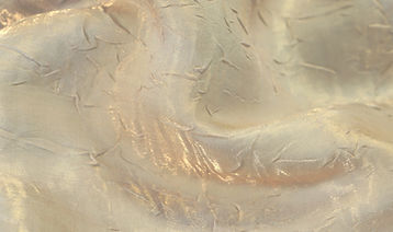 1Champagne Crinkle_EDITED.jpg