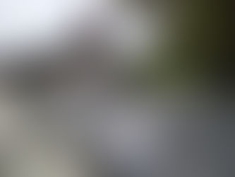 🏠 Flat Roof Renovation with a Modern Fibreglass Finish