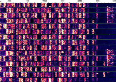 FT8.jpg
