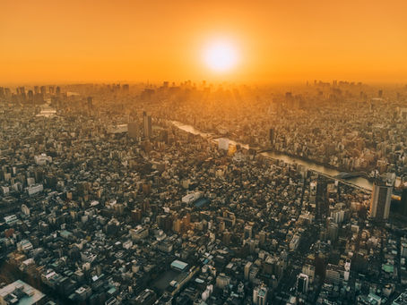 South Asia's Markets within Markets