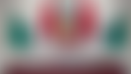 La diputada Haydeé Reyes atiende la Comparecencia del Secretario Raúl Ruiz Robles, como presidenta de la Comisión de Desarrollo Económico