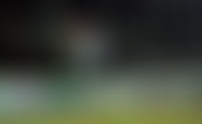 21. Austria Lustenau - Wiener Neustadt