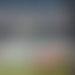 15. SKU Amstetten - SC Austria Lustenau