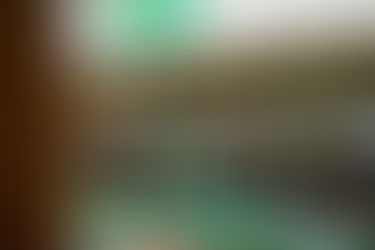 12. SC Austria Lustenau - SK Austria Klagenfurt