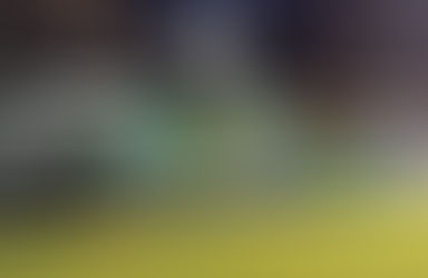 24. WSG Wattens - Austria Lustenau