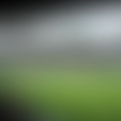 01. SC Austria Lustenau - SV Ried