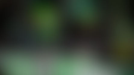 (BREGENZ) 10. SC Austria Lustenau - SV Ried