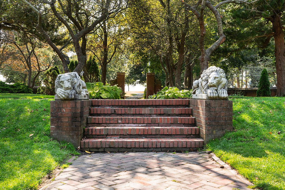 Lions at Rose Garden Lynch Park Web (1).jpg