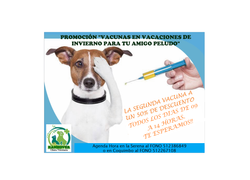 publicidad vacunas face.jpg.png