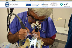 23926459_919078741575960_386812175940464