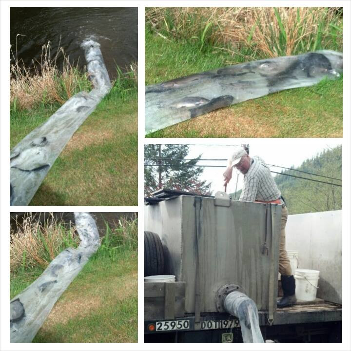 Fullscreen Page Glenhaven Lakes Club