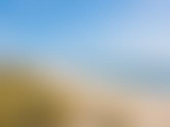 Things To Do In Carolina Beach And Kure Beach In June 2026