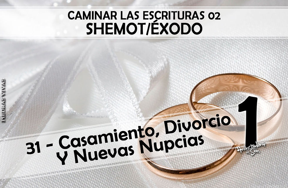 CLE02 31 - Casamiento, Divorcio Y Nuevas