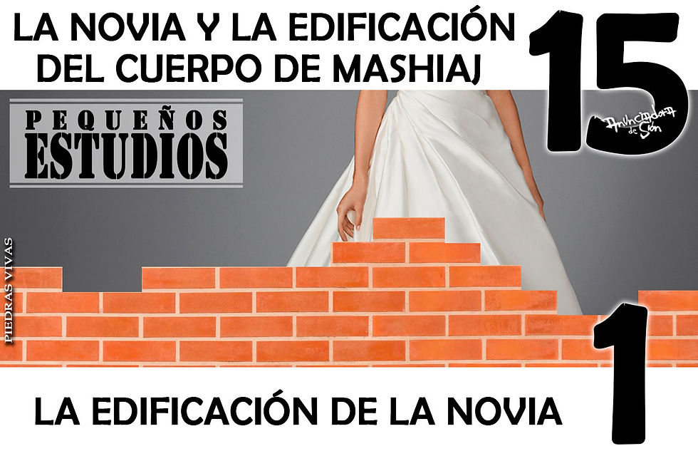 EK_-_NECM_15_-_La_Edificación_De_La_Novi