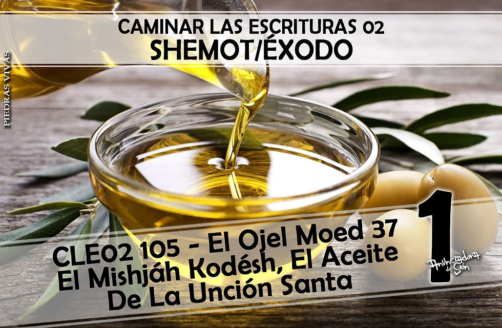 CLE02_105_-_El_Ojel_Moed_37_-_El_Mishjá