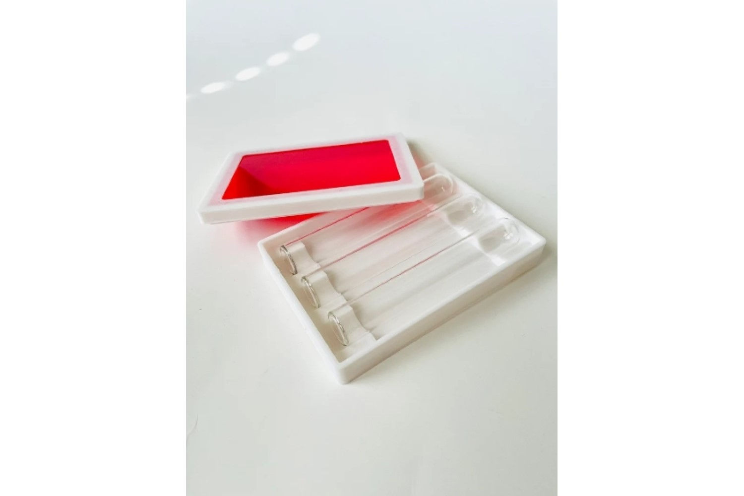 Glass Tube with Case Holder Setup for New Queen Starting Ant Farm Colony