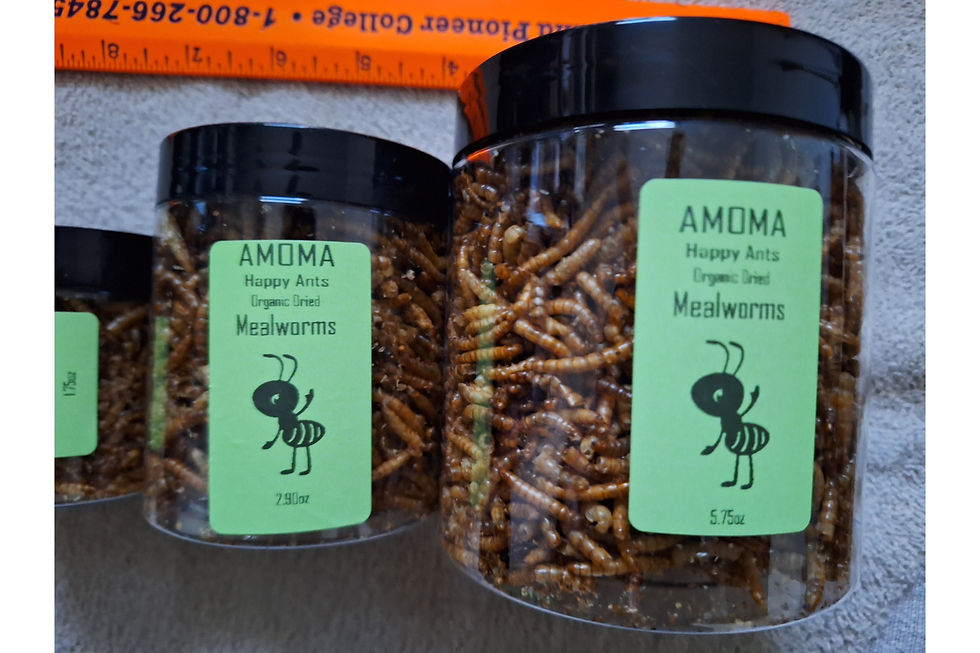 Thumbnail: Amoma Happy Ants Organic and Non-GMO Dried Mealworms for Queen Ant Food