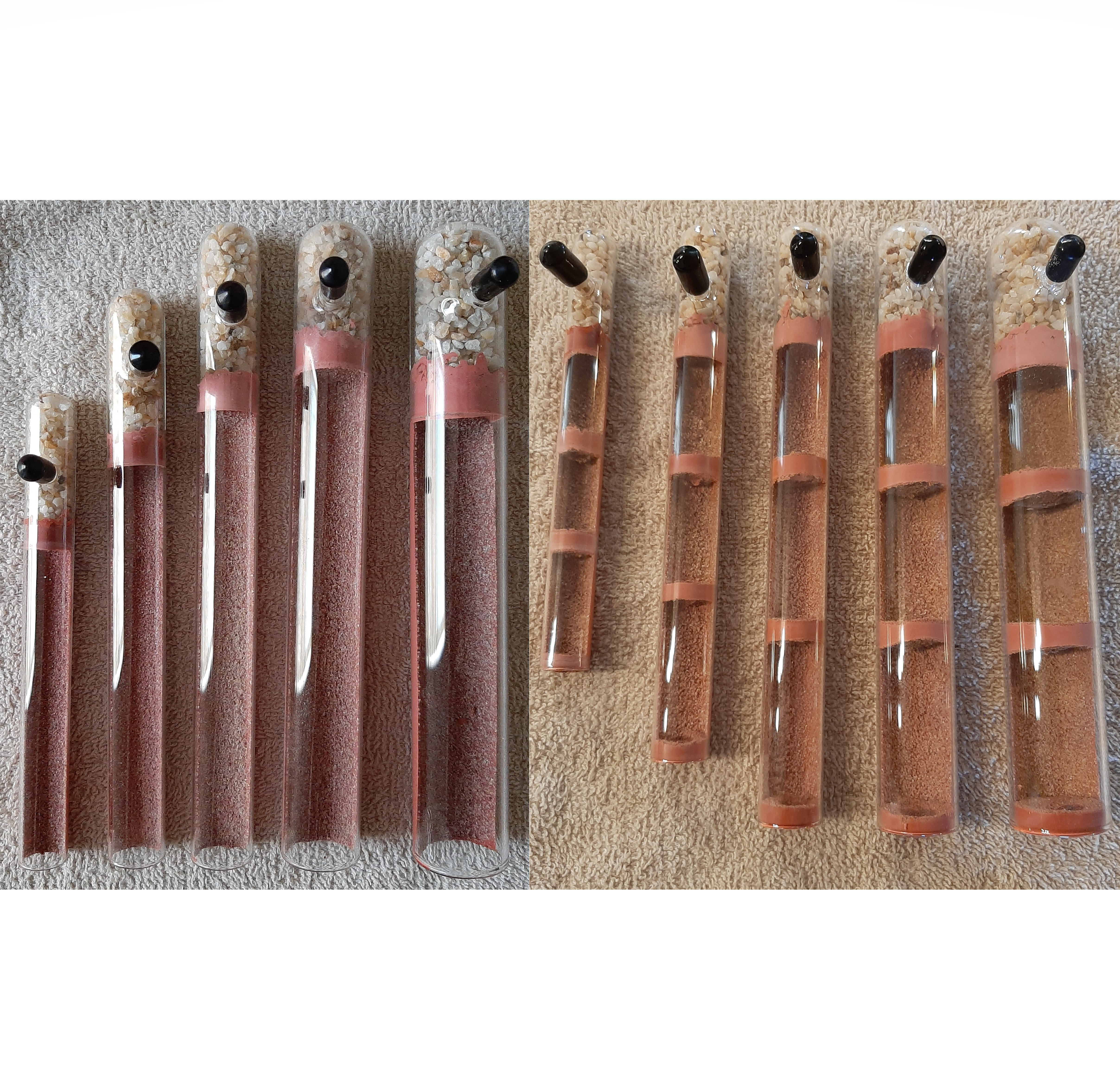 Glass Bamboo Starter Test Tube Nest for Queen Ant Keeping