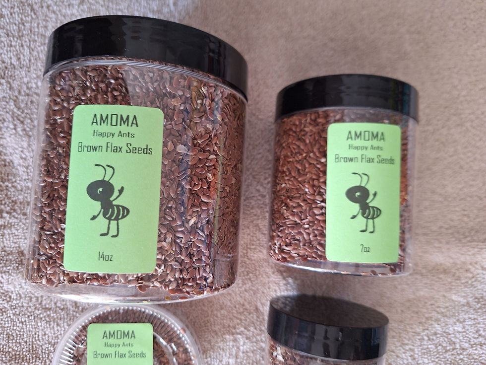 Thumbnail: Amoma Happy Organic Brown Flax Seeds for Queen Ant Food