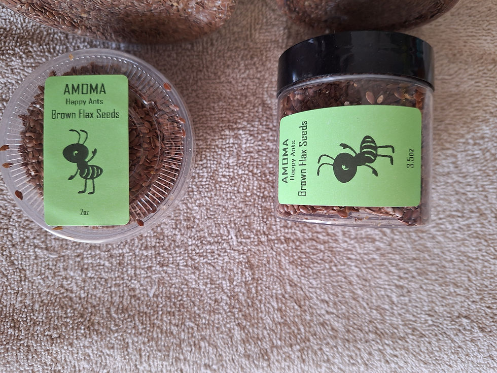 Thumbnail: Amoma Happy Organic Brown Flax Seeds for Queen Ant Food