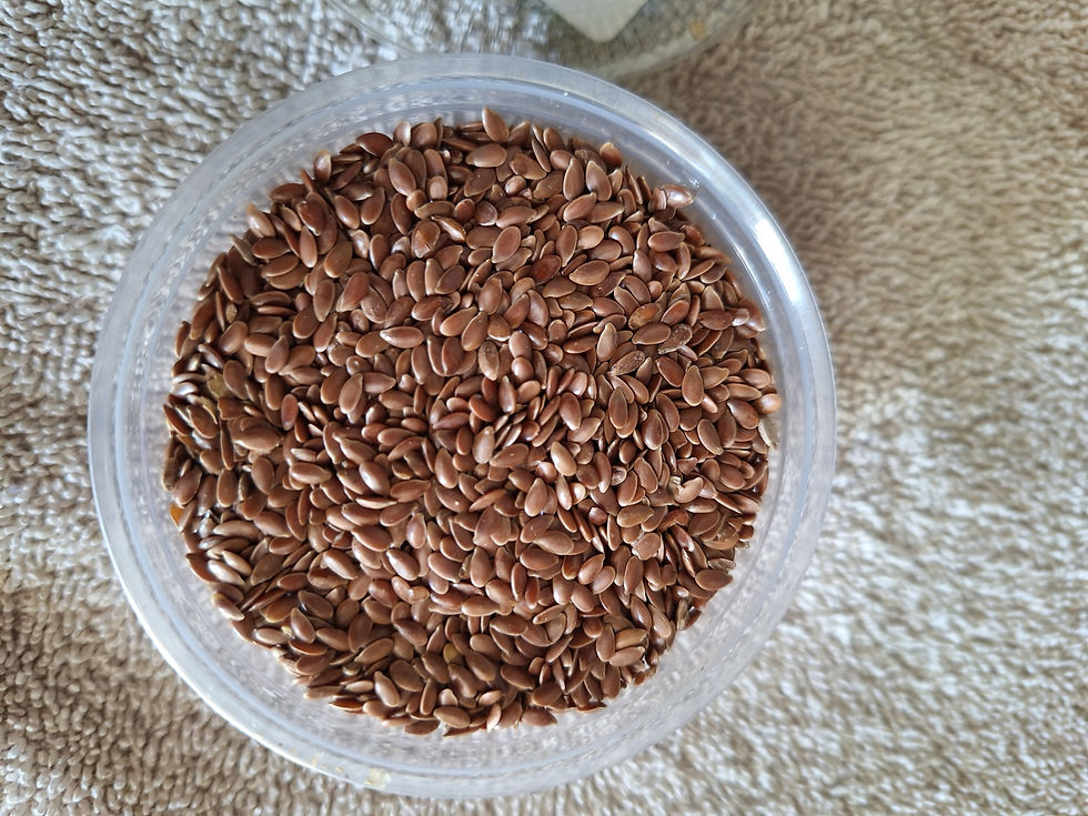 Thumbnail: Amoma Happy Organic Brown Flax Seeds for Queen Ant Food