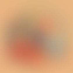 Article 23 - Prohibition of traffic in human beings and forced labor