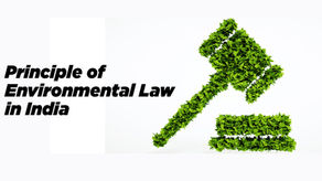 Principle of Environmental Law in India