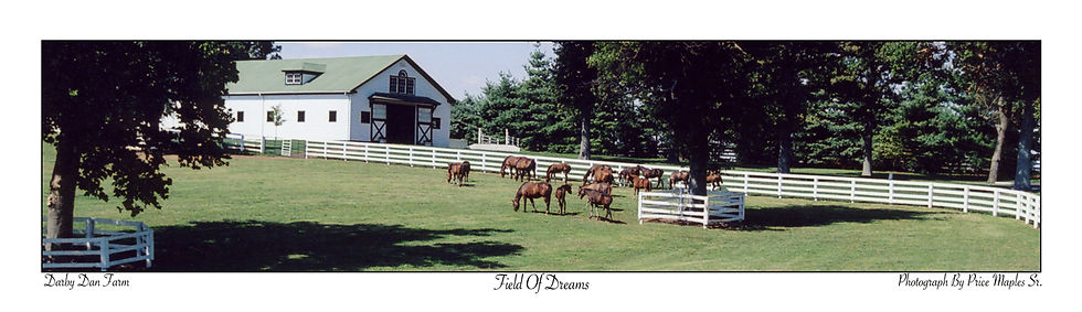Field Of Dreams Post Card/Bookmark