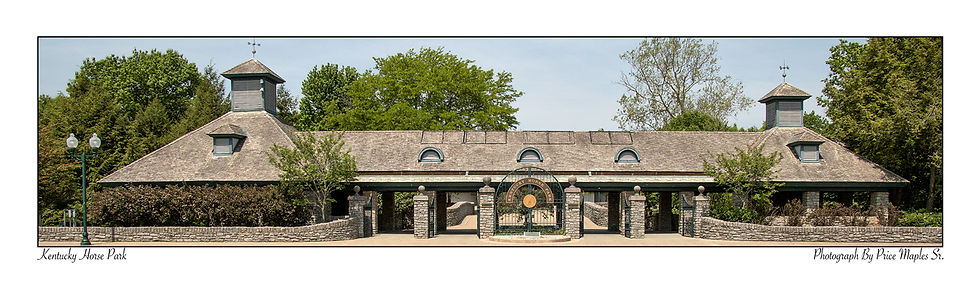 Horse Park Post Card/Bookmark