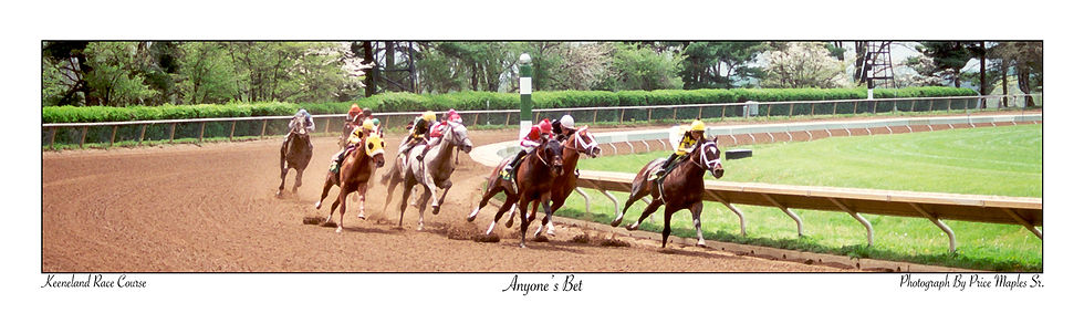 Anyone's Bet Post Card/Bookmark Card Front